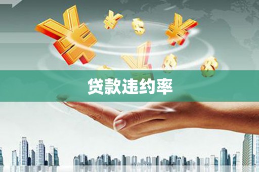 延寿贷款违约率