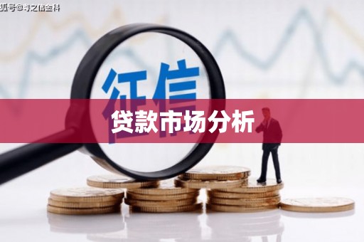 延寿贷款市场分析