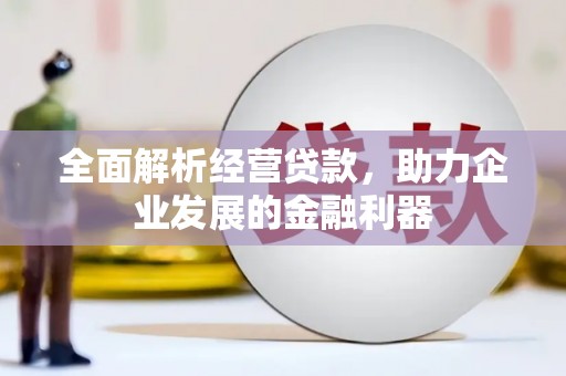 延寿全面解析经营贷款，助力企业发展的金融利器