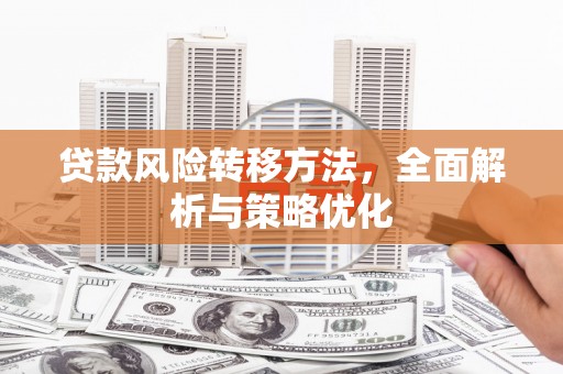 延寿贷款风险转移方法，全面解析与策略优化