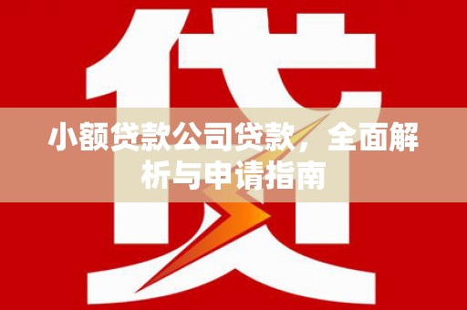 延寿小额贷款公司贷款，全面解析与申请指南