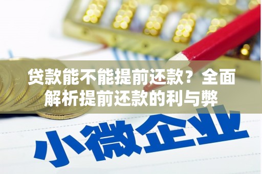 延寿贷款能不能提前还款？全面解析提前还款的利与弊