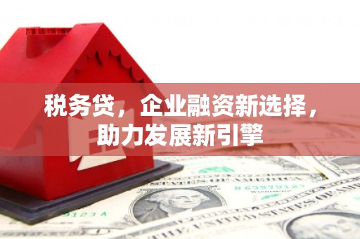 延寿税务贷，企业融资新选择，助力发展新引擎