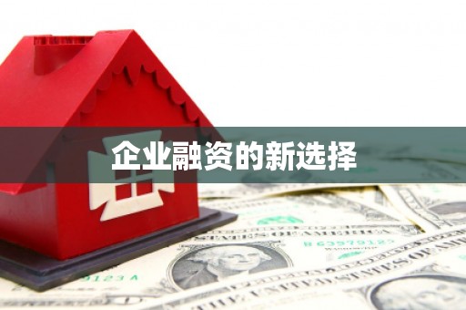 延寿企业融资的新选择
