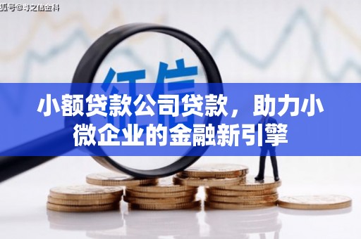 延寿小额贷款公司贷款，助力小微企业的金融新引擎