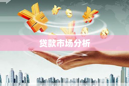 延寿贷款市场分析