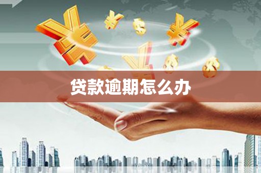 延寿贷款逾期怎么办