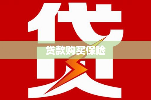 延寿贷款购买保险