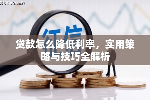 延寿贷款怎么降低利率，实用策略与技巧全解析