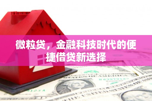 延寿微粒贷，金融科技时代的便捷借贷新选择