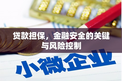 延寿贷款担保，金融安全的关键与风险控制