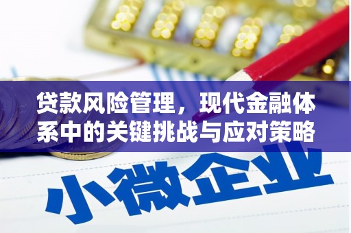 延寿贷款风险管理，现代金融体系中的关键挑战与应对策略