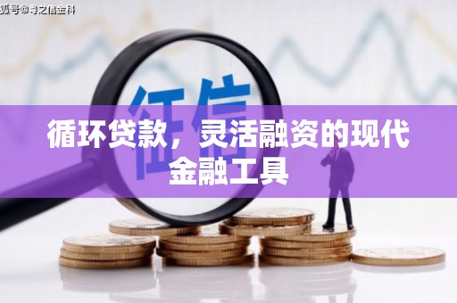 延寿循环贷款，灵活融资的现代金融工具