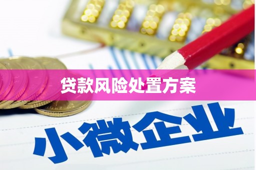 延寿贷款风险处置方案
