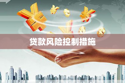 延寿贷款风险控制措施